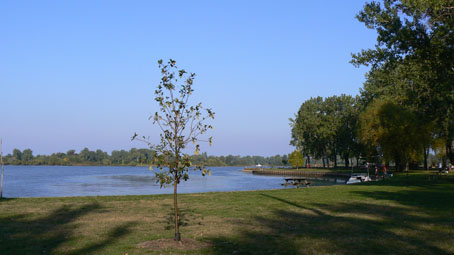 erie4