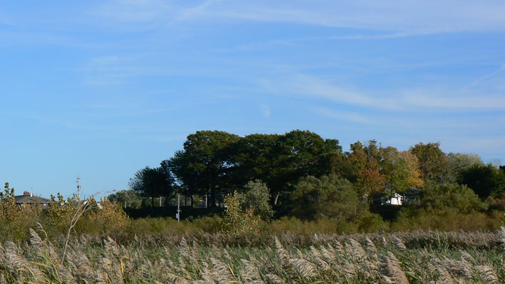 conneaut3